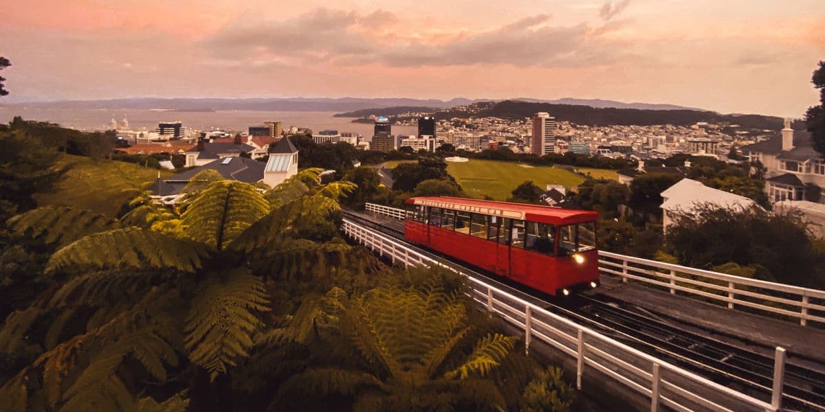 Foodie faves on First Table in the Capital