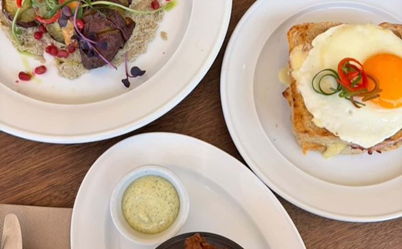 Enjoy New Zealand, Dairy free options, Gluten Free options, Vegan options, Vegetarian options, Cafe, Restaurant, Child friendly, Wheelchair accessible, Table service, $$, Groups and Families cuisine at Commons Eatery in Dunedin Central, Otago